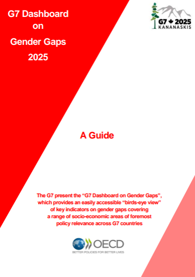 G7 2025 Dashboard Guide PDF thumbnail