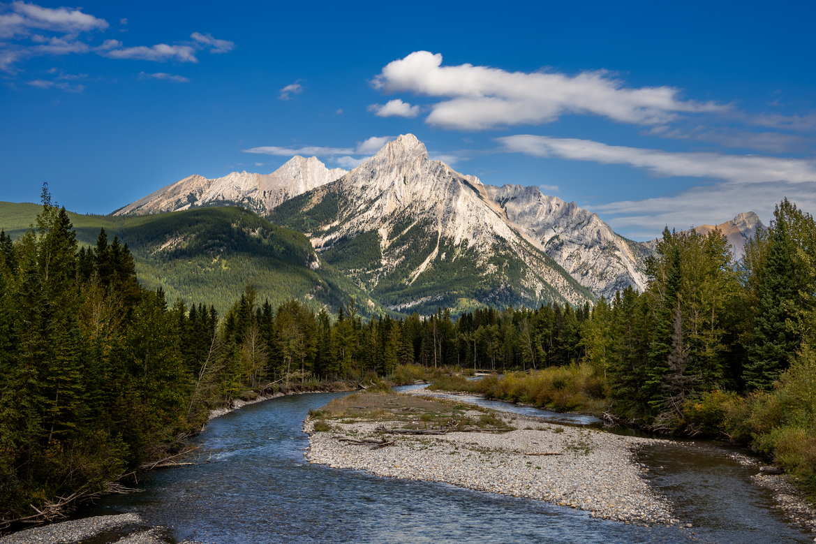 Mountain forest in Kananaskis